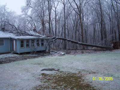Neighbors House