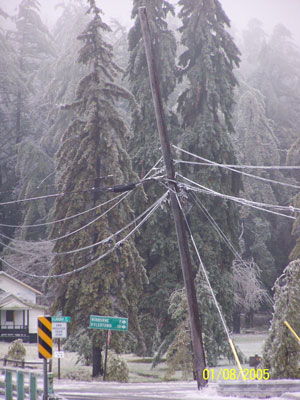 Pole Bent Due to Down Trees Next to Lake