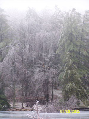 View of Power Lines Almost in Lake