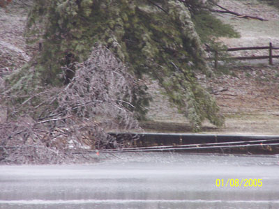 Power Lines Almost in Lake