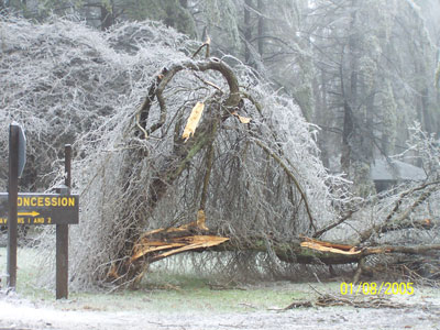 Concession Stand Road